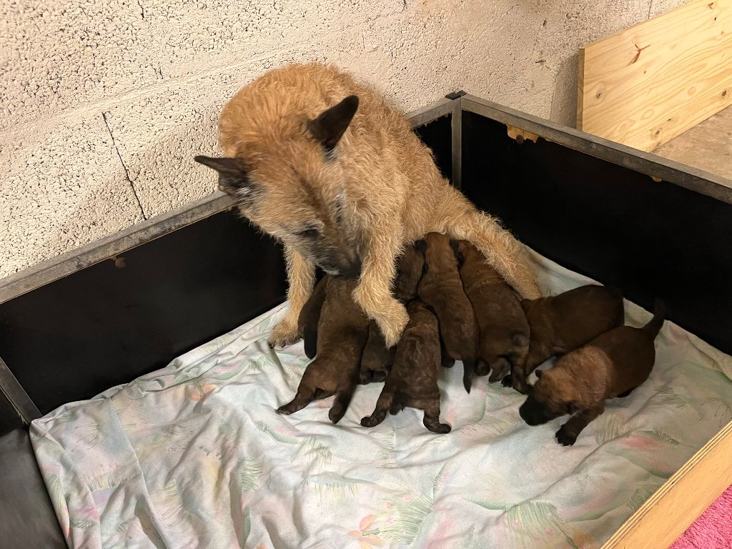 Des Rives De L'Opton - Enfin des photos de nos bébés